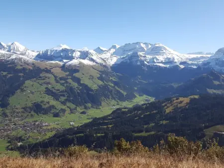 Chalet Flöschhorn, Appartement 6 personnes à Lenk - Photo 8
