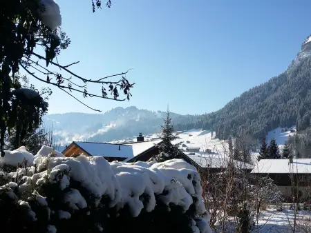 Chalet Flöschhorn, Appartement 6 personnes à Lenk - Photo 10