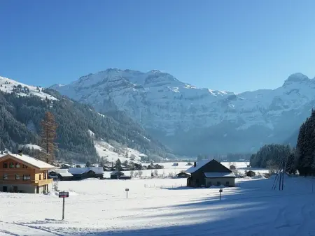 Chalet Flöschhorn, Appartement 6 personnes à Lenk - Photo 11
