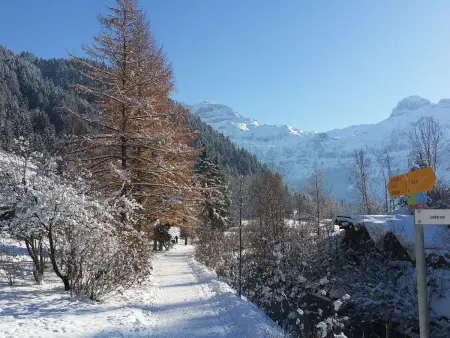 Chalet Flöschhorn, Appartement 6 personnes à Lenk - Photo 12