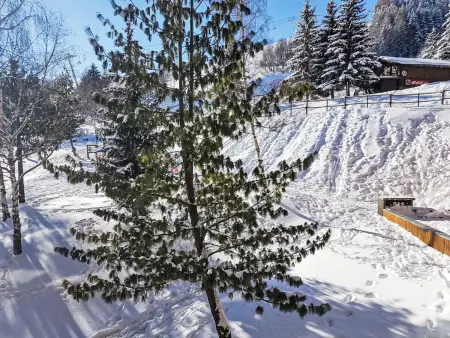 Pegase Phenix, Appartement 4 personnes à Le Corbier - Photo 17