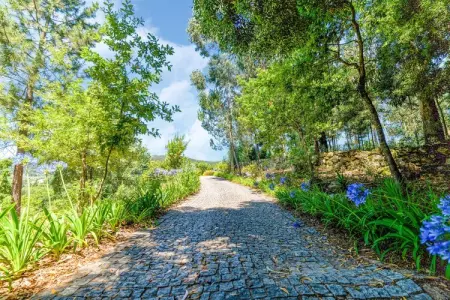 Casa das Laranjeiras, Refuge forestier près de la vallée du Douro - Photo 19
