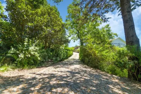 Casa das Laranjeiras, Refuge forestier près de la vallée du Douro - Photo 20