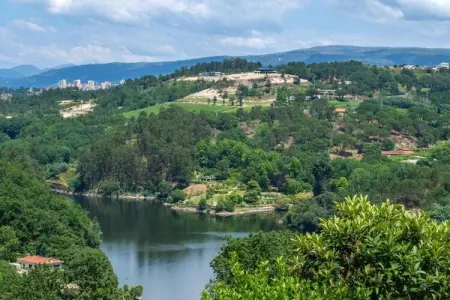 Casa das Laranjeiras, Refuge forestier près de la vallée du Douro - Photo 23