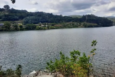 Casa das Laranjeiras, Refuge forestier près de la vallée du Douro - Photo 32