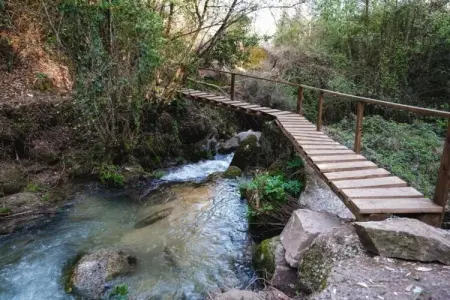 Casa das Laranjeiras, Refuge forestier près de la vallée du Douro - Photo 35
