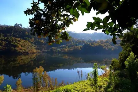 Casa das Laranjeiras, Refuge forestier près de la vallée du Douro - Photo 36