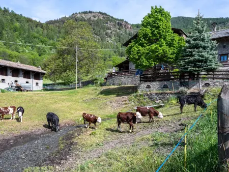 Maison Meynet, Maison 5 personnes à Sarre - Photo 28