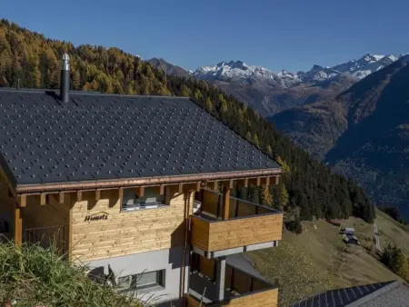 Huwetz EG Süd, Appartement 4 personnes à Bettmeralp - Photo 21