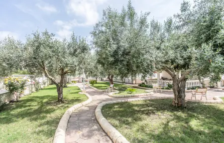 Villa Gladiolo, Maison 5 personnes à Noto  SR - Photo 12