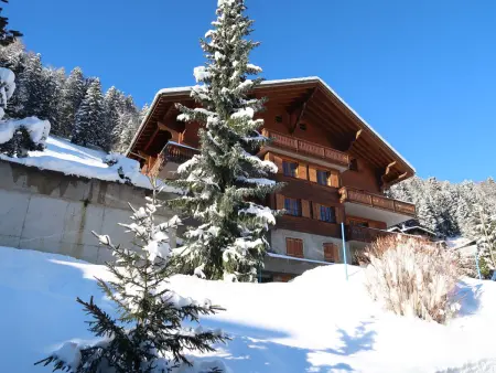 La Tour d'Antheme, Appartement 7 personnes à Champery - Photo 34