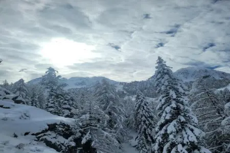 Les Terrasses d'Isola 2, Chalet à Isola avec vue imprenable - Photo 38