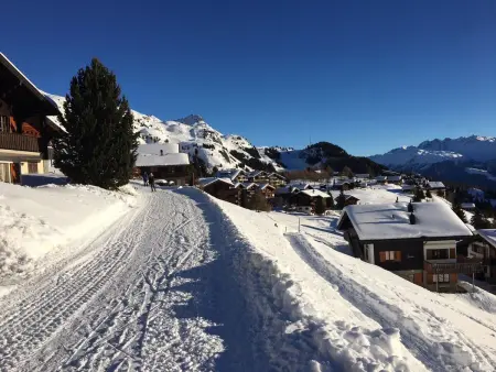 Almenrausch 2. OG Süd-West, Appartement 4 personnes à Riederalp - Photo 5