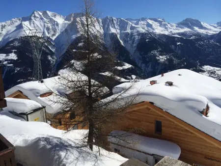 Almenrausch 2. OG Süd-West, Appartement 4 personnes à Riederalp - Photo 14