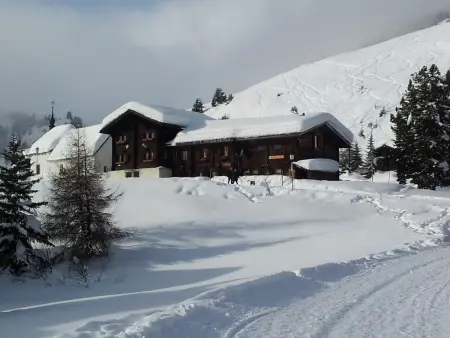 Almenrausch 2. OG Süd-West, Appartement 4 personnes à Riederalp - Photo 15