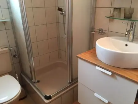 Almenrausch 2. OG Süd-West, Appartement 4 personnes à Riederalp - Photo 34