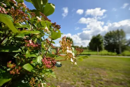 Zingem, Villa spacieuse à Zingem avec jardin - Photo 33