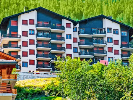 Foret E3, Appartement 3 personnes à Nendaz - Photo 16