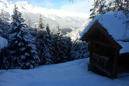 Chalet - Oz-en-Oisans, Chalet à Huez près des pistes de ski - Photo 12