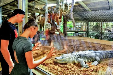 Salignac, Maison de vacances au calme avec piscine partagée - Photo 34