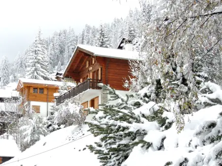 Les Clarines, Chalet 6 personnes à Grimentz - Photo 27