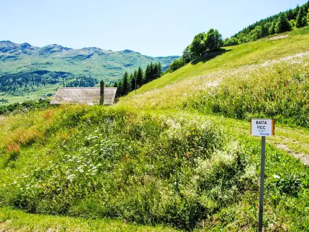 Baita Ficc, Maison 4 personnes à Ponto Valentino - Photo 15