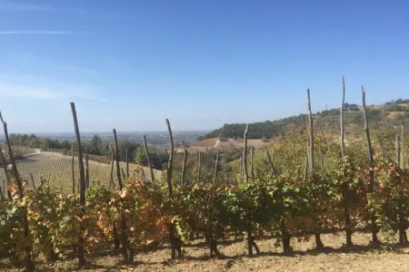 Niella, Studio à Bastia Mondovì avec piscine et vignoble - Photo 19
