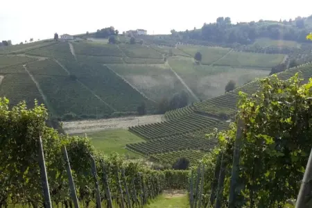 Niella, Studio à Bastia Mondovì avec piscine et vignoble - Photo 30