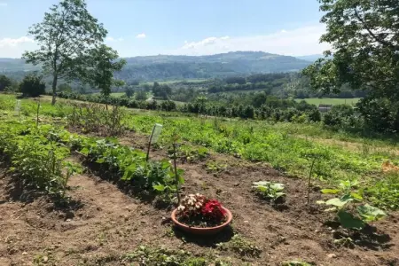Cigliè, Maison à Langhe avec Piscine et Terrasse - Photo 29