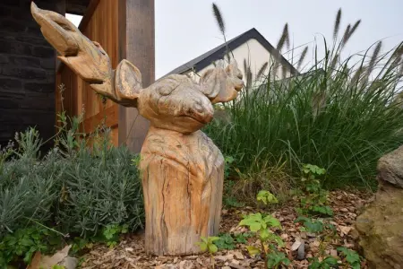 Villa Kristof, Grande Villa avec Sauna et Jacuzzi à Durbuy - Photo 38