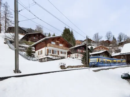 Chalet Reinhysi, Maison 6 personnes à Grindelwald - Photo 26