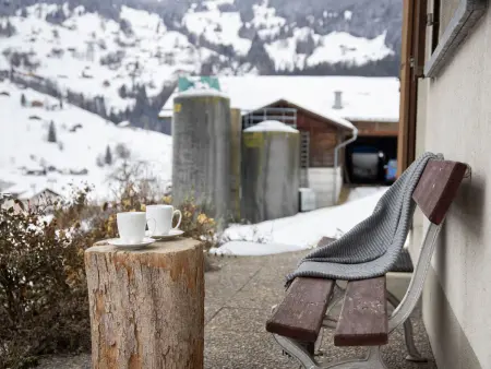 Chalet Reinhysi, Maison 6 personnes à Grindelwald - Photo 29
