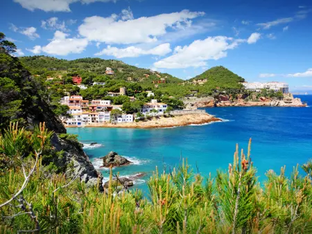 Jandalo Berria, Maison 8 personnes à Begur - Photo 42