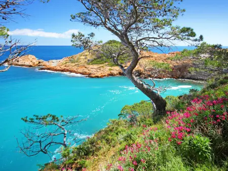 Jandalo Berria, Maison 8 personnes à Begur - Photo 43