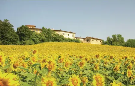 Villa di Collina, Maison 14 personnes à Vicchio FI - Photo 32