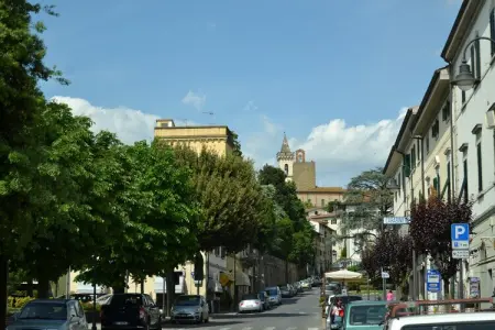 Casettauno, Ferme entre culture et nature, entre Pise et FLorence avec piscine privée - Photo 32