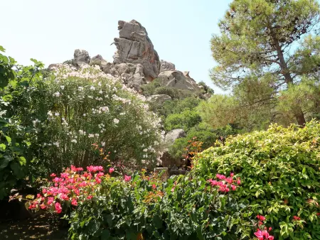 Mimosa, Villa 8 personnes à Palau - Photo 30