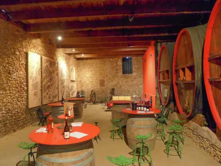 Murviel les Béziers, Maison à Béziers avec piscine et vignoble - Photo 8