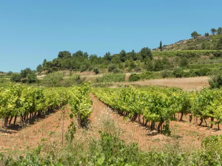 Murviel les Béziers, Maison à Béziers avec piscine et vignoble - Photo 21