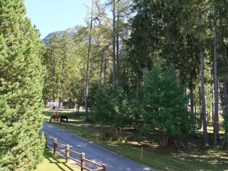Rustica, Appartement 4 personnes à Lenzerheide - Photo 15