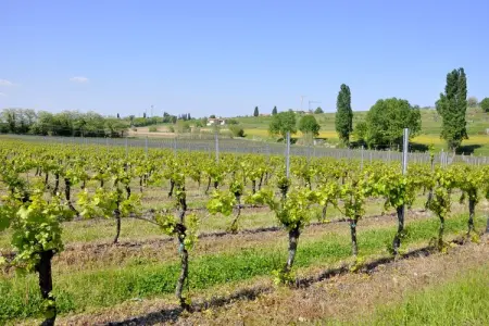 Molini Tredici, Maison à Lazise près du Lac de Garde - Photo 31