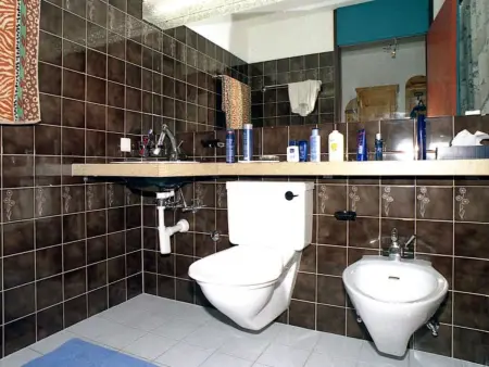 Disentiserhof Aua Cotschna Avvanzino, Appartement 4 personnes à Disentis - Photo 7
