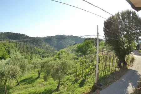 Tra Lucca e il Mare, Ferme à Gualdo avec piscine privée - Photo 1