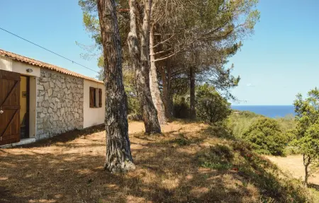 Maison 6 personnes à Calcatoggio - Photo 8