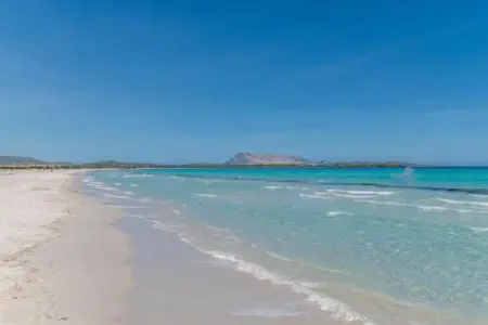Gallura Trilo, Maison de vacances à San Teodoro près de la mer - Photo 34