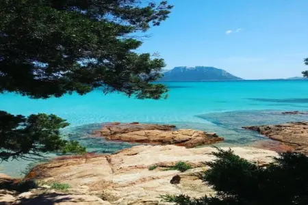 Gallura Trilo, Maison de vacances à San Teodoro près de la mer - Photo 35
