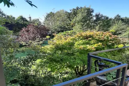 Remember, Gîte à Durbuy avec terrasse et jardin - Photo 11