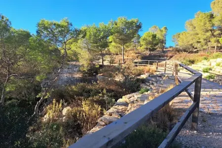 Apartamento  Tipuana, Luxe au bord du golf à Las Colinas - Photo 35