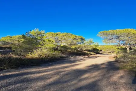 Apartamento  Tipuana, Luxe au bord du golf à Las Colinas - Photo 36