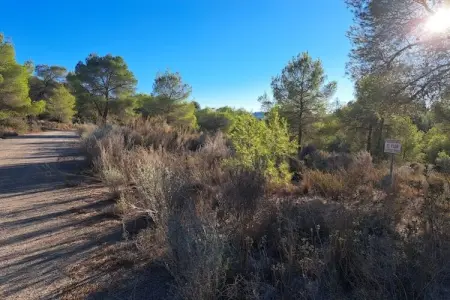 Apartamento  Tipuana, Luxe au bord du golf à Las Colinas - Photo 38